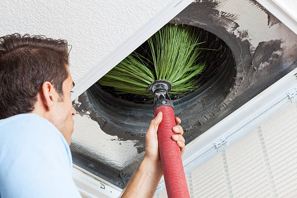 Best Dryer Vent Cleaning Services  in Waverly, IL